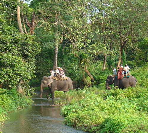 Exciting Dooars Trip