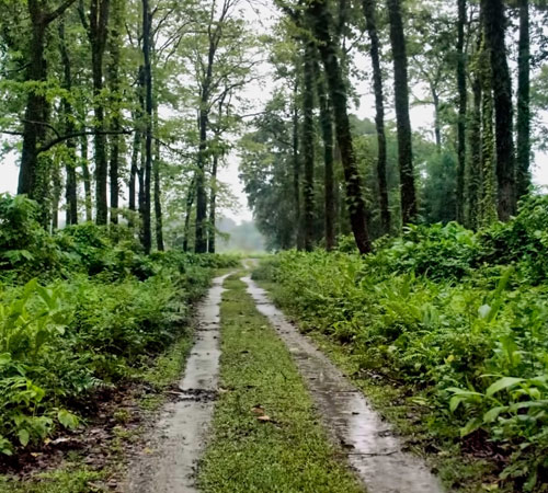 Feel the beauty of Nature