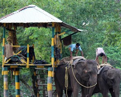 Garumara National Park