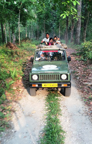 Garumara National Park