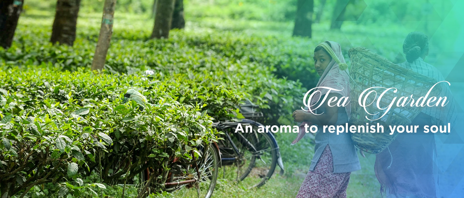 Dooars Tour Packages