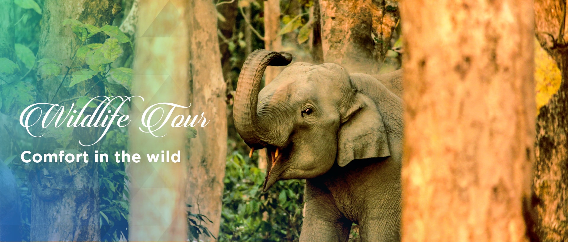 Dooars Tour Packages